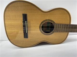 Giannini Classical Nylon Guitar AWN25A